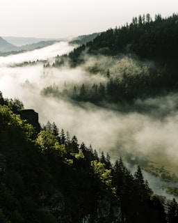 A misty forest backdrop with a lone flute player silhouetted against the soft morning glow.