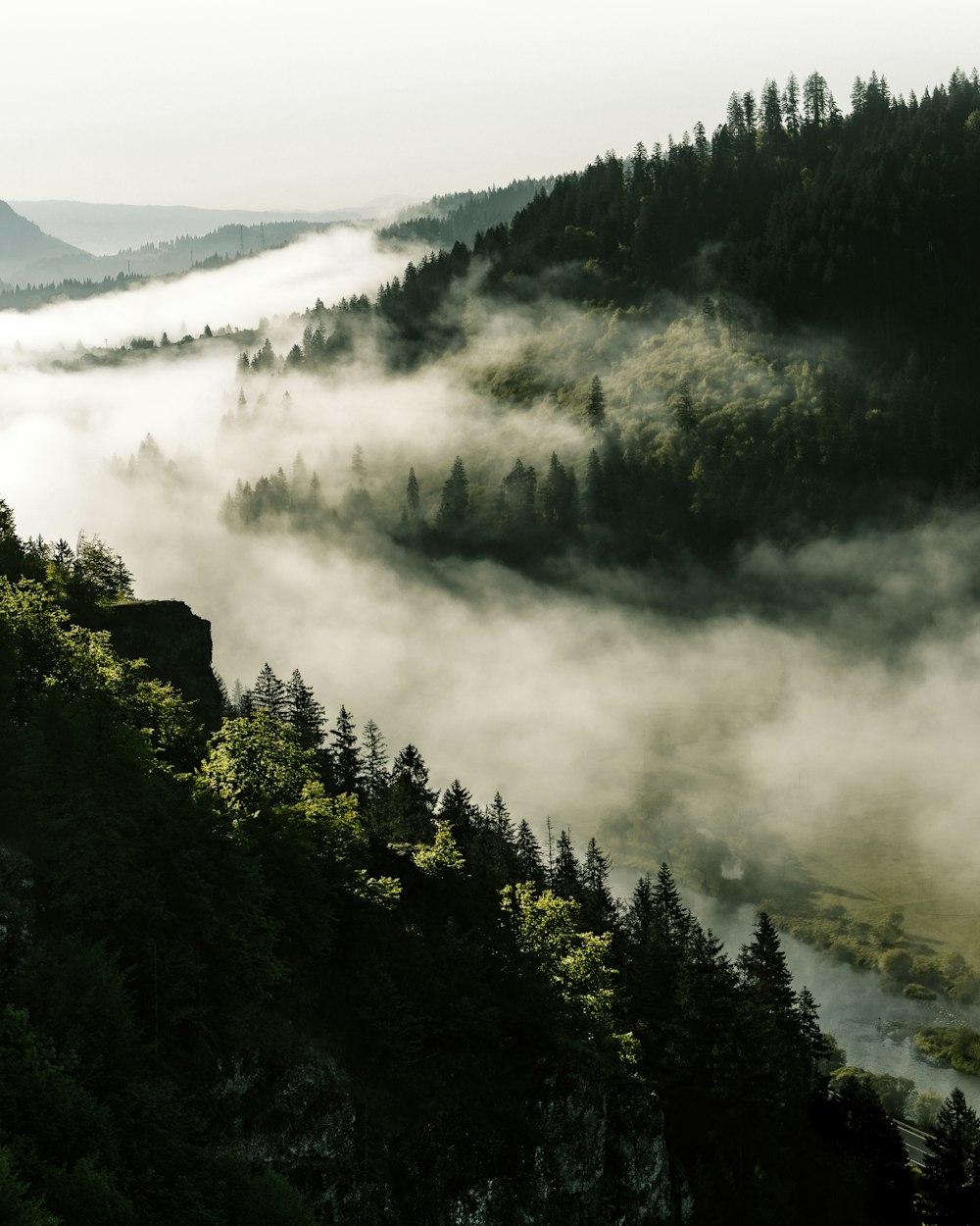 green trees on mountain during daytime