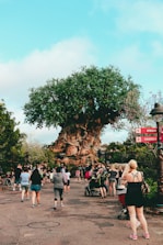 people walking on street near green trees during daytime
