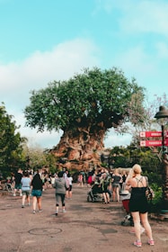 people walking on street near green trees during daytime