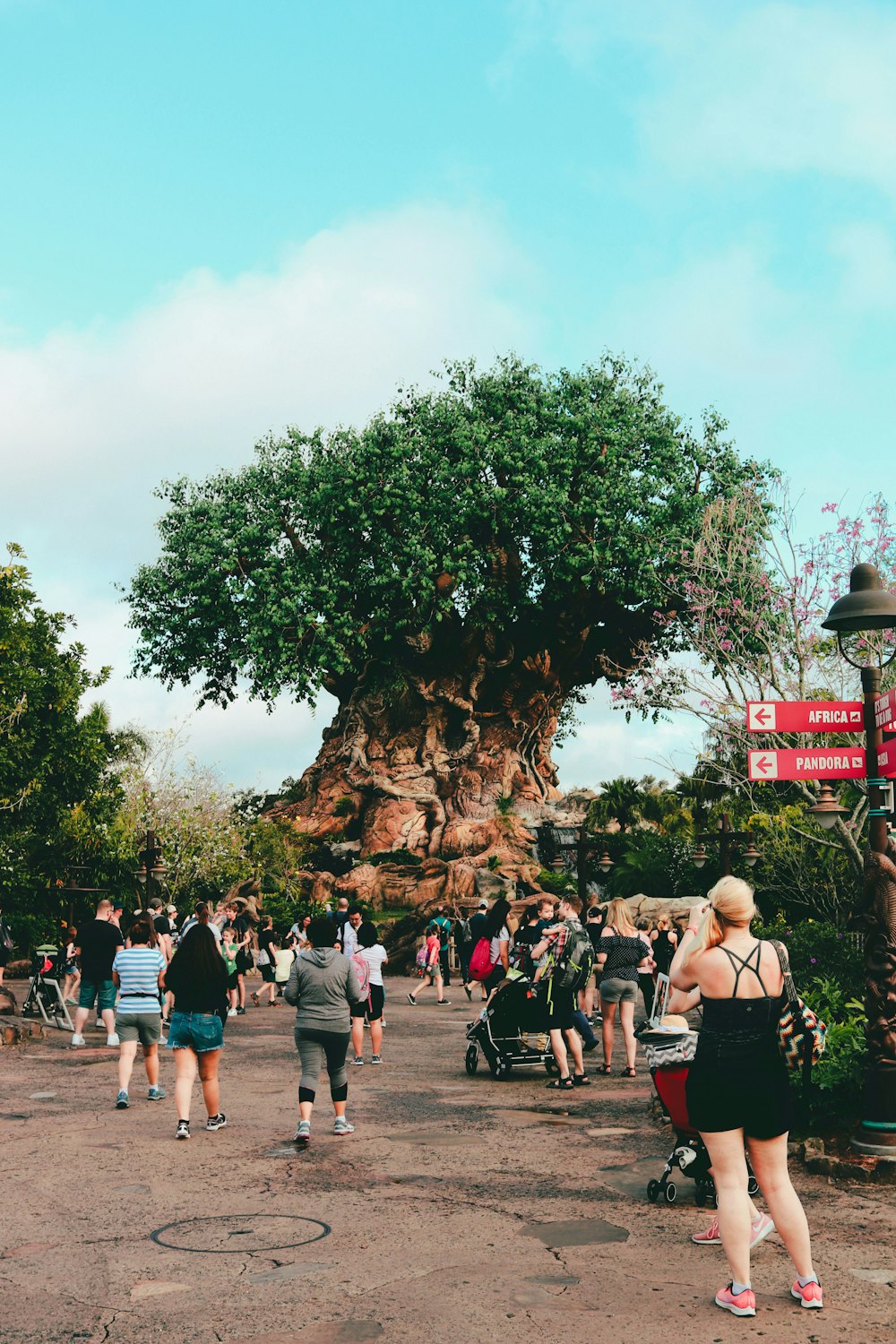 people walking on street near green trees during daytime