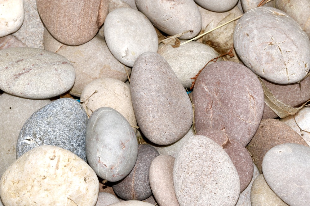 white and brown stones on gray stones