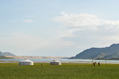 Gers on the meadow by the river in Terelj National Park