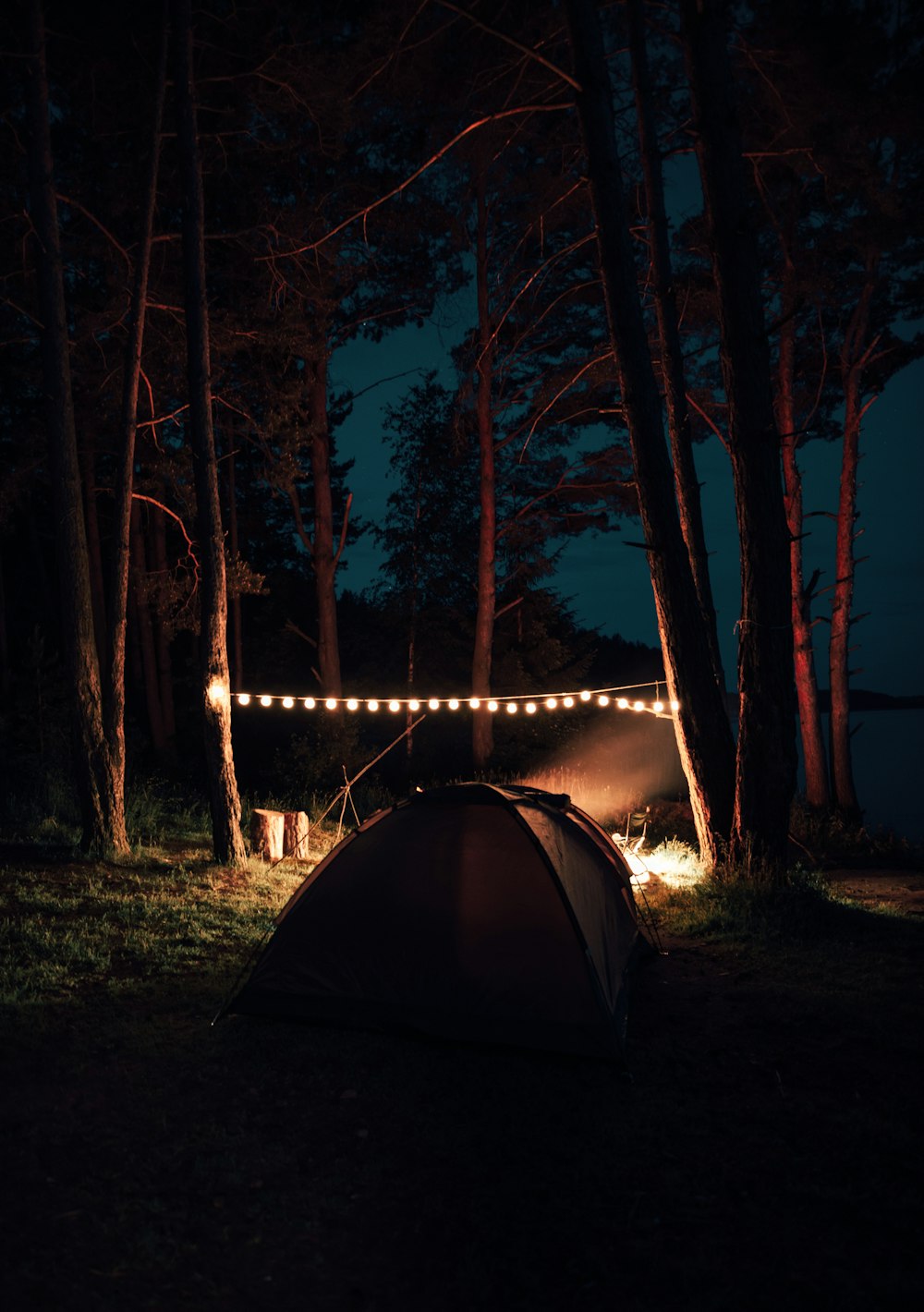 tent on green grass field during night time