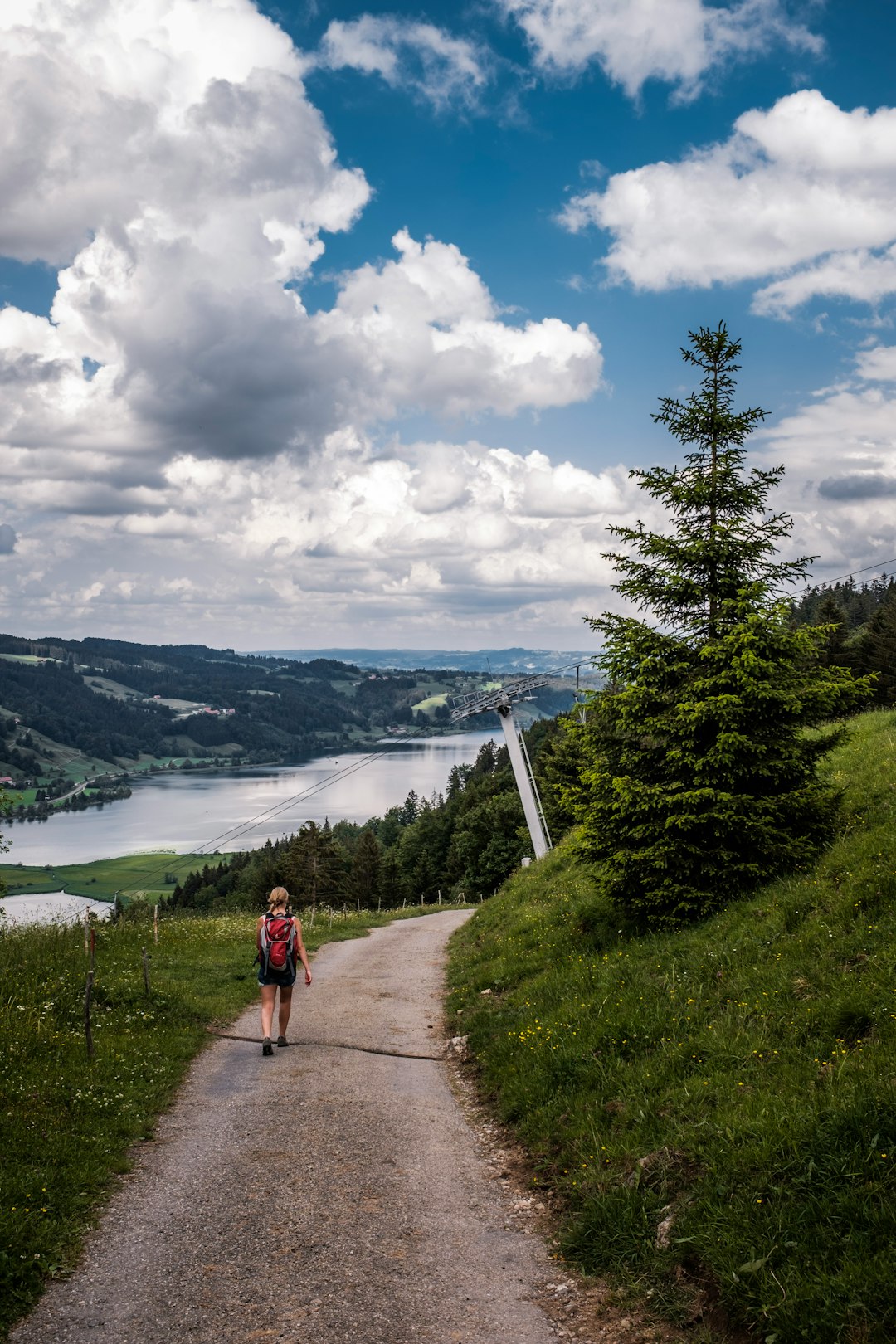 woman in red jacket walking on pathway near green trees and body of water during daytime