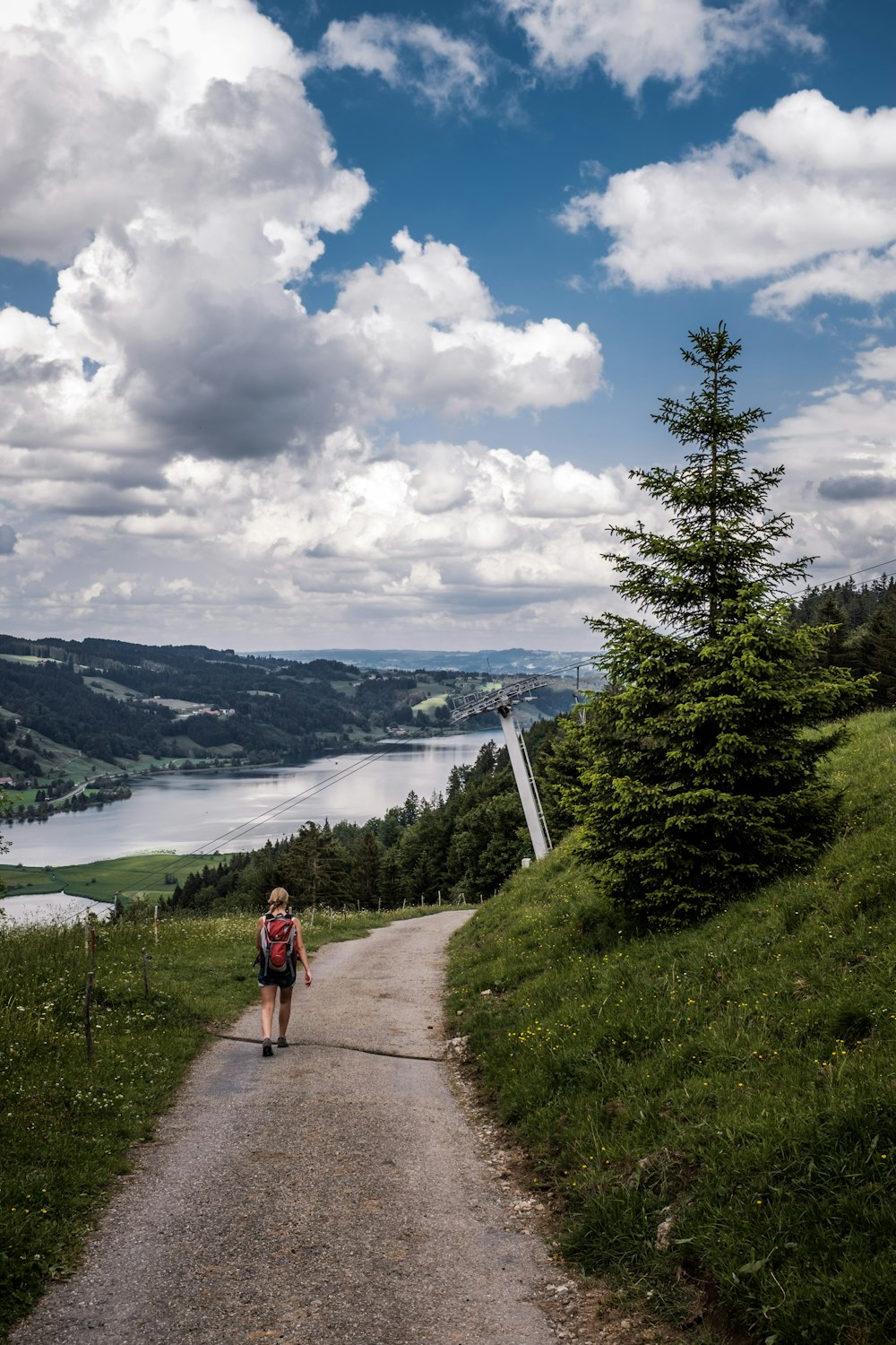 woman in red jacket walking on pathway near green trees and body of water during daytime