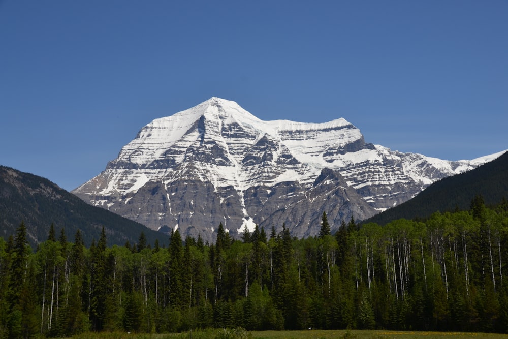 snow covered mountain during daytime