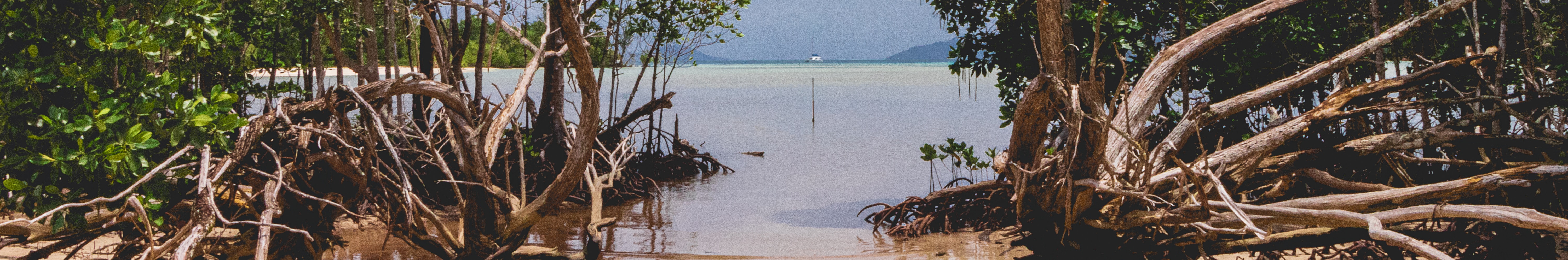 Boskalis helped restore 23 km of eroded coastline and mangrove buffers for 70,000 Indonesians