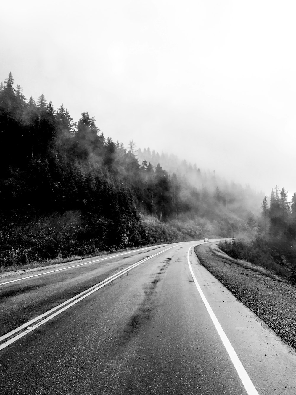 grayscale photo of road between trees