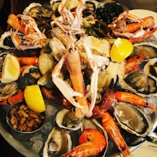 A vibrant seafood platter showcasing fresh fish, shrimp, and squid.