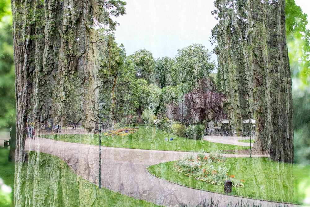 green grass field with trees