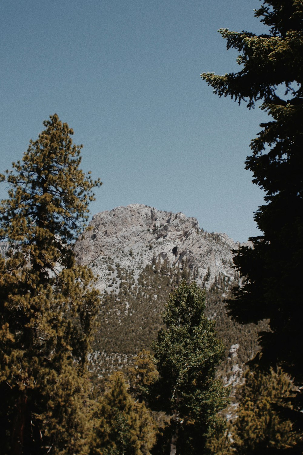 green trees near white mountain under blue sky during daytime