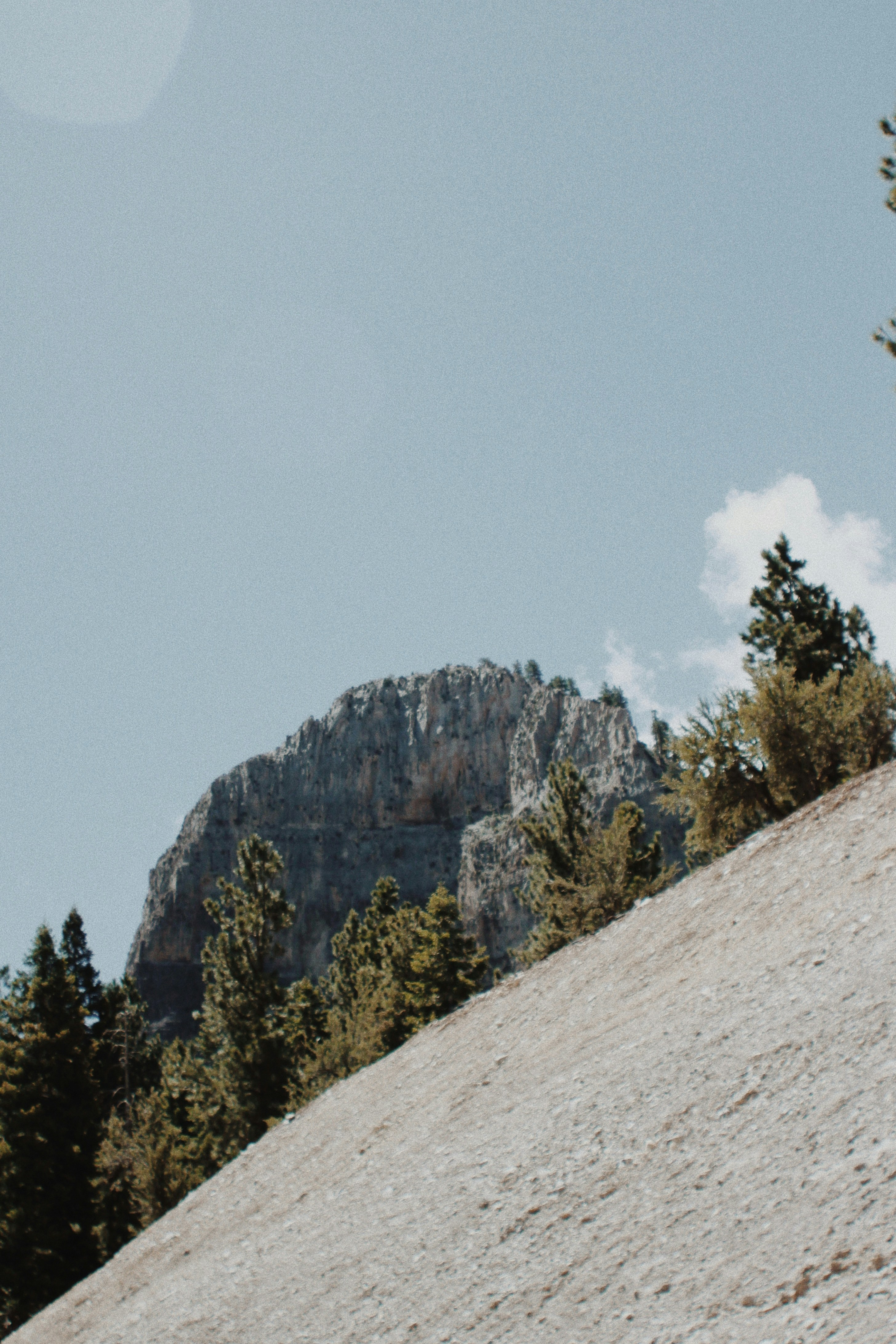 Photo by jacobemedia