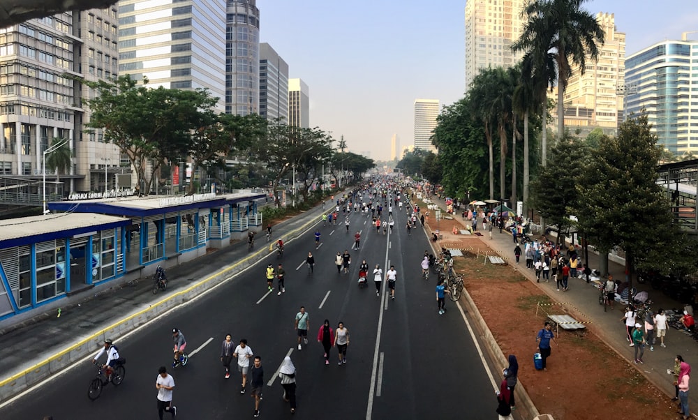 people walking on the street during daytime