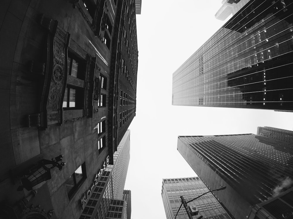 grayscale photo of high rise buildings