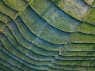 green and black textile in close up photography