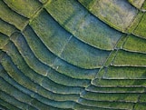 green and black textile in close up photography