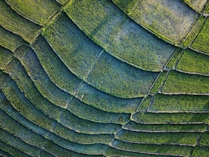 green and black textile in close up photography