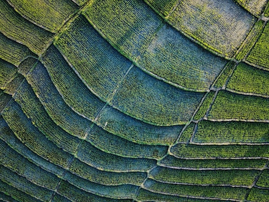 green and black textile in close up photography