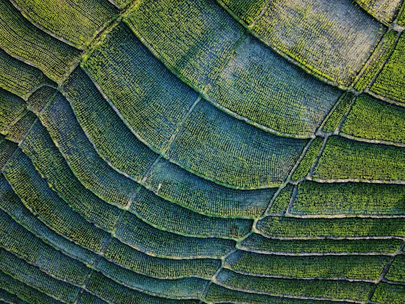 green and black textile in close up photography