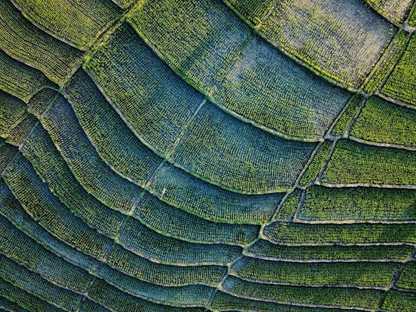 green and black textile in close up photography