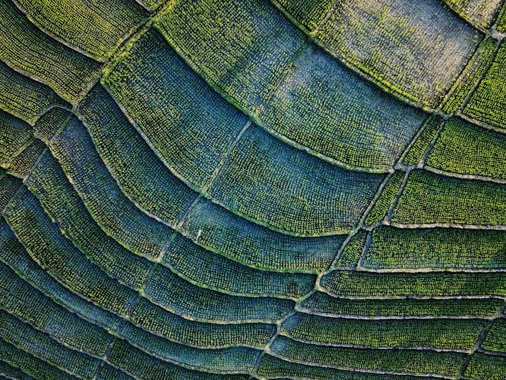 tessuto verde e nero in fotografia ravvicinata