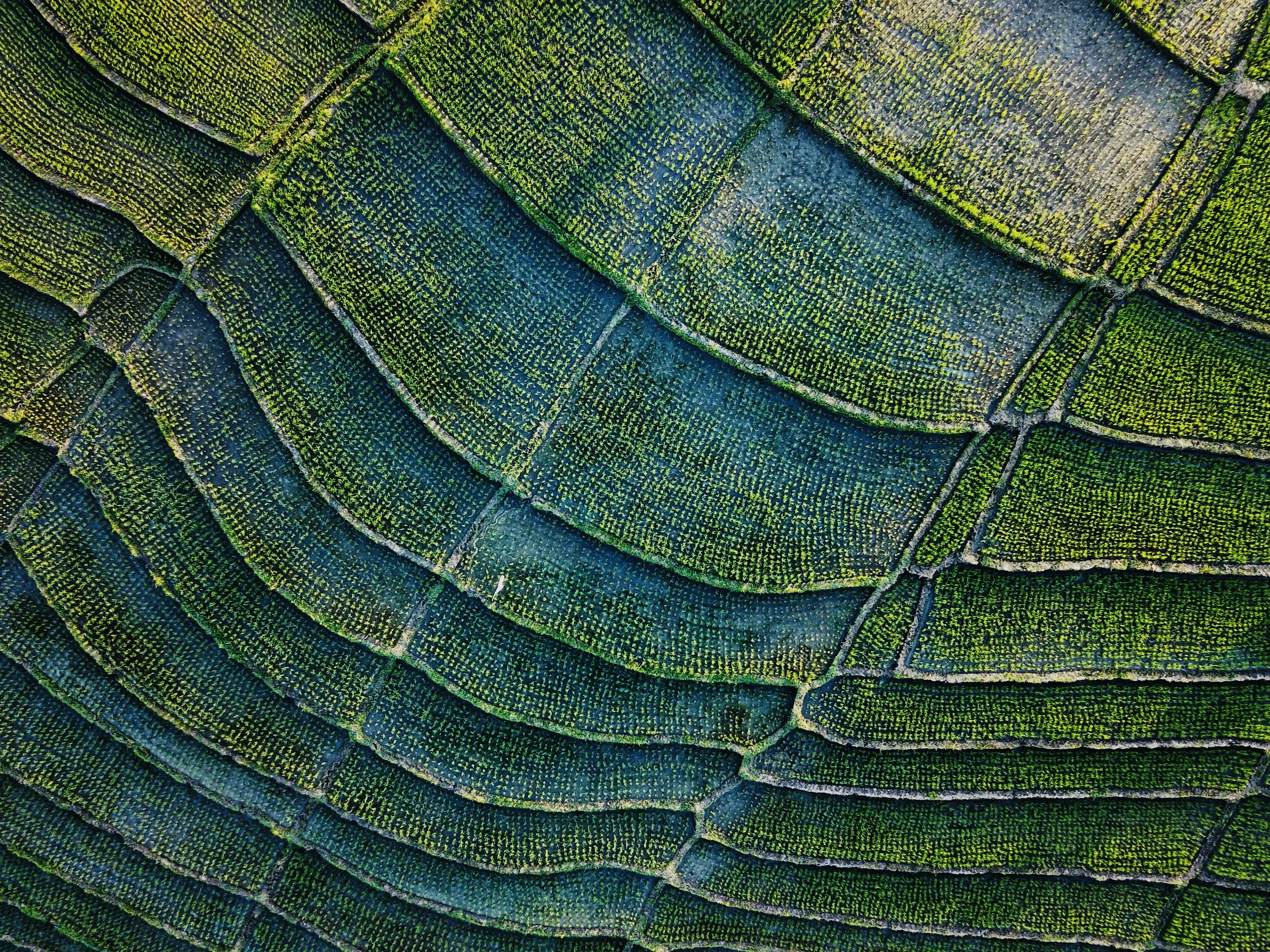 How Can I Be A Responsible Traveler In Terms Of Environmental Impact?