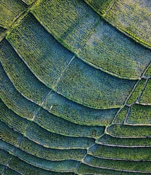 green and black textile in close up photography