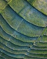 green and black textile in close up photography