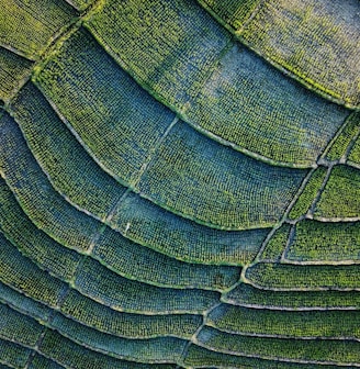 green and black textile in close up photography