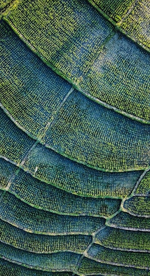 green and black textile in close up photography