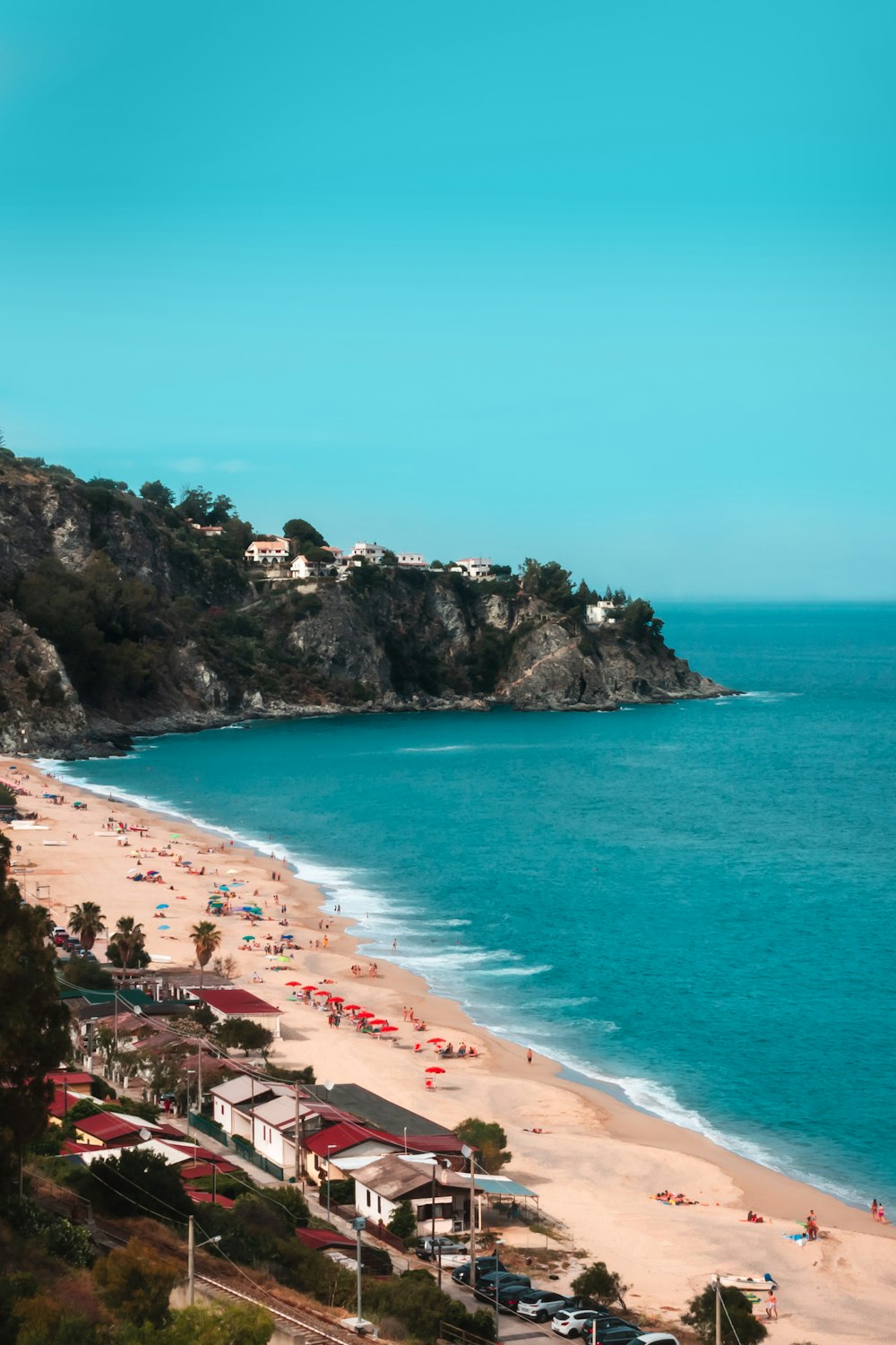 people on beach during daytime