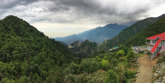 green trees on mountain under cloudy sky during daytime in McLeod Ganj India