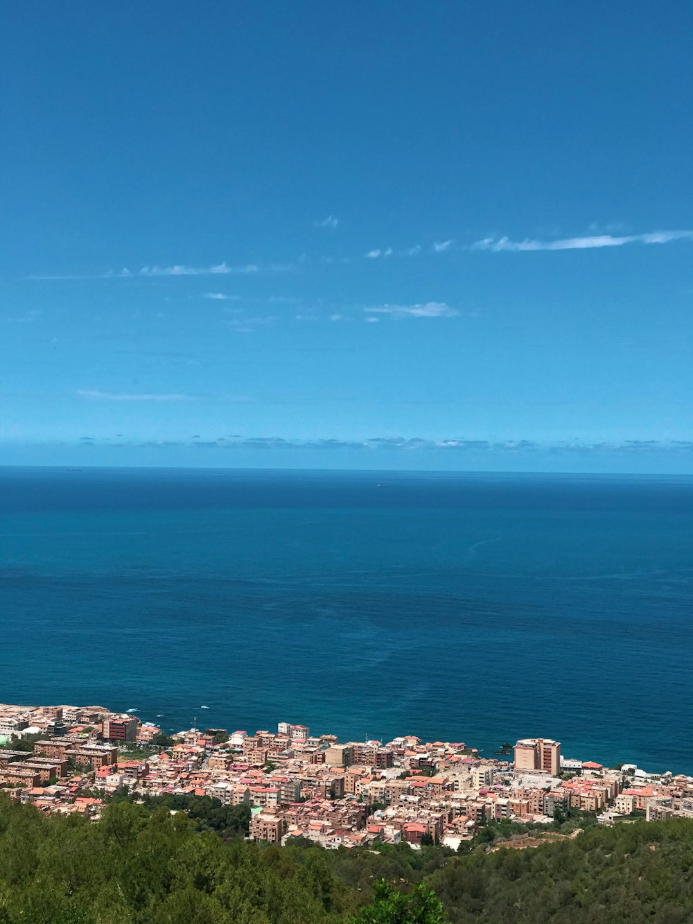 aerial view of city buildings near sea during daytime