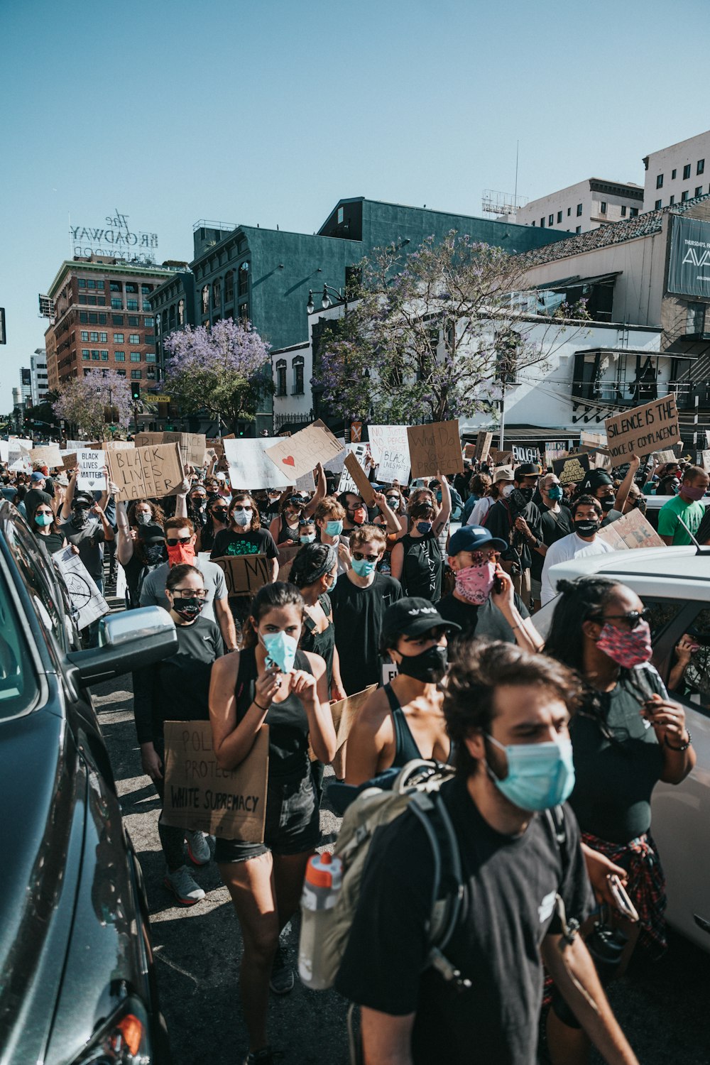 people gathering on street during daytime