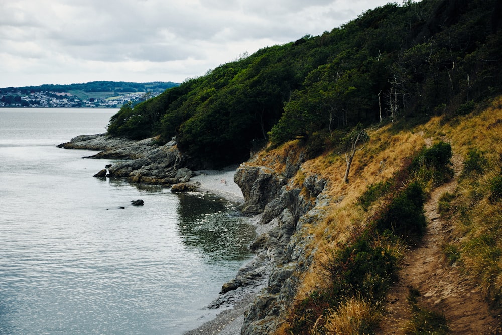 green and brown mountain beside body of water during daytime