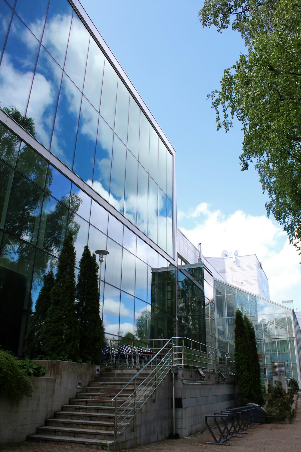 Arbres verts près d’un bâtiment en verre pendant la journée