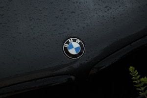 black and blue round button