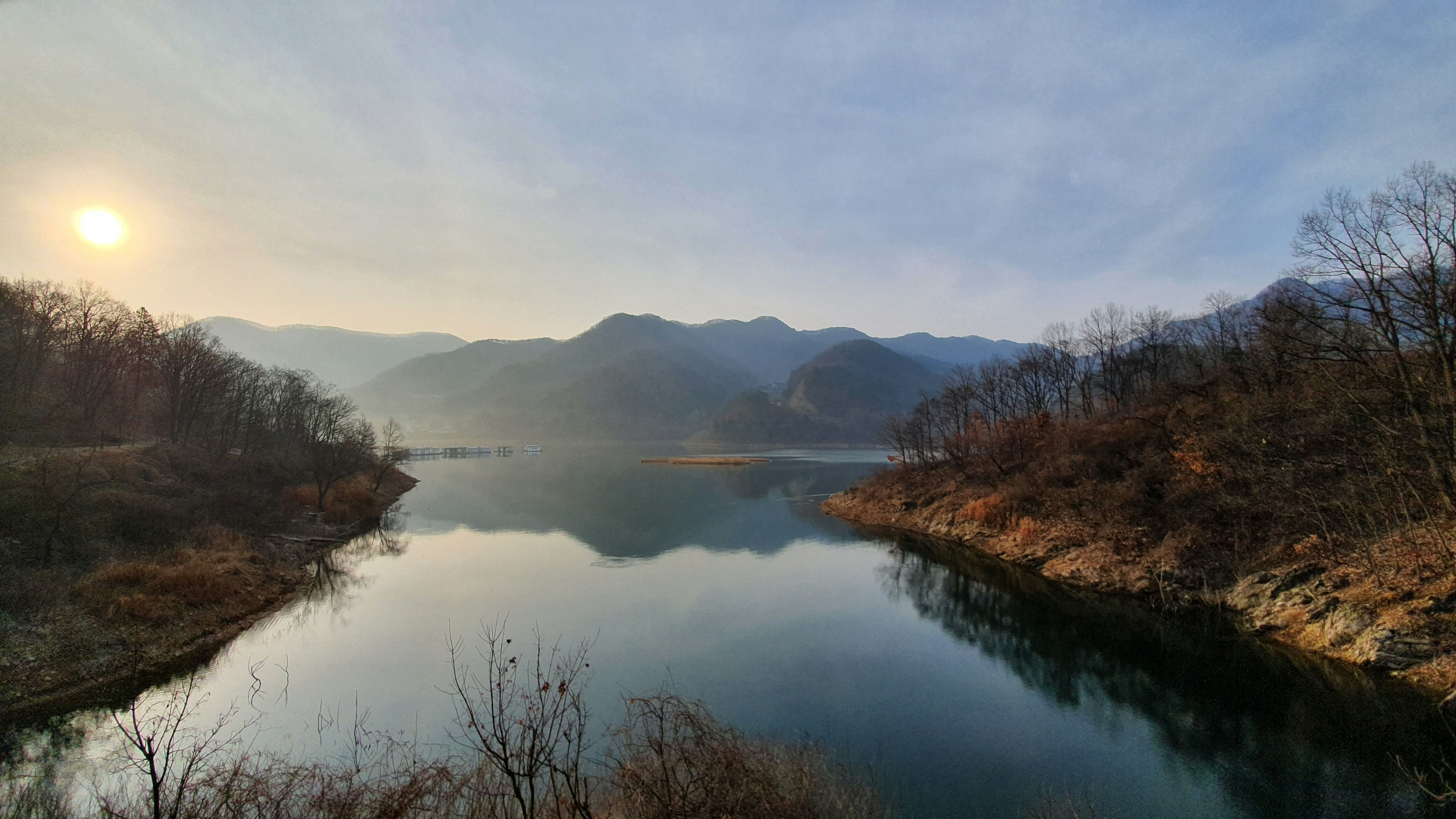 brown grass near lake during daytime