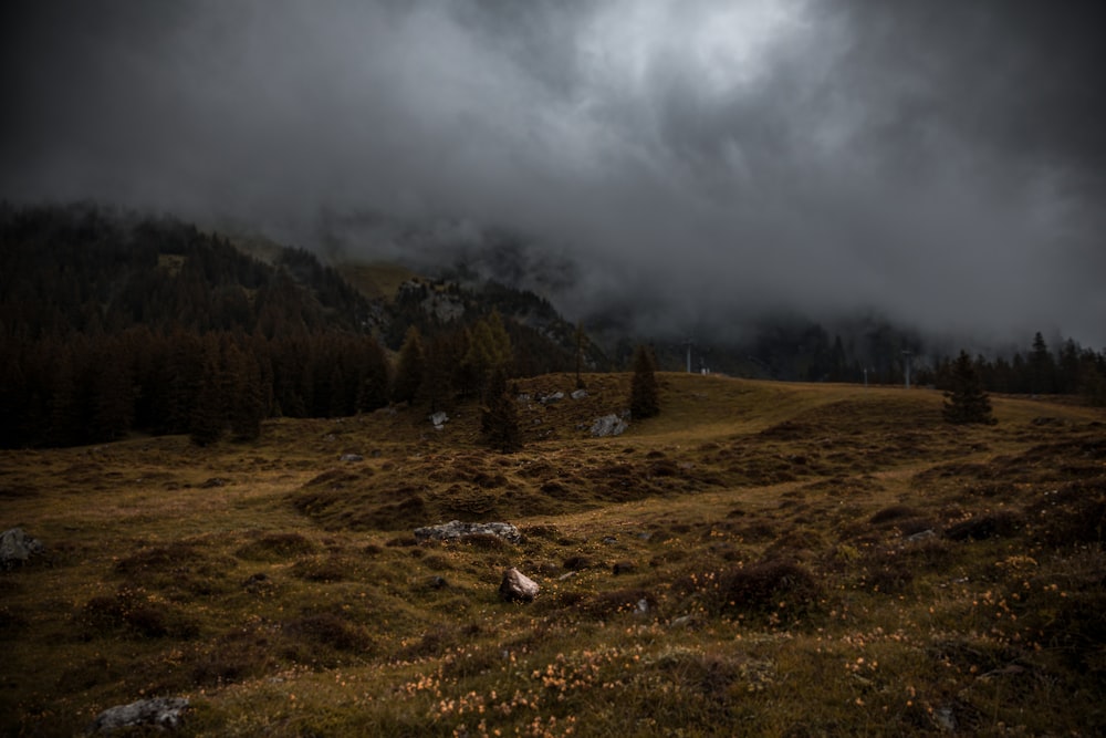 green grass field near green trees and mountain under white clouds during daytime