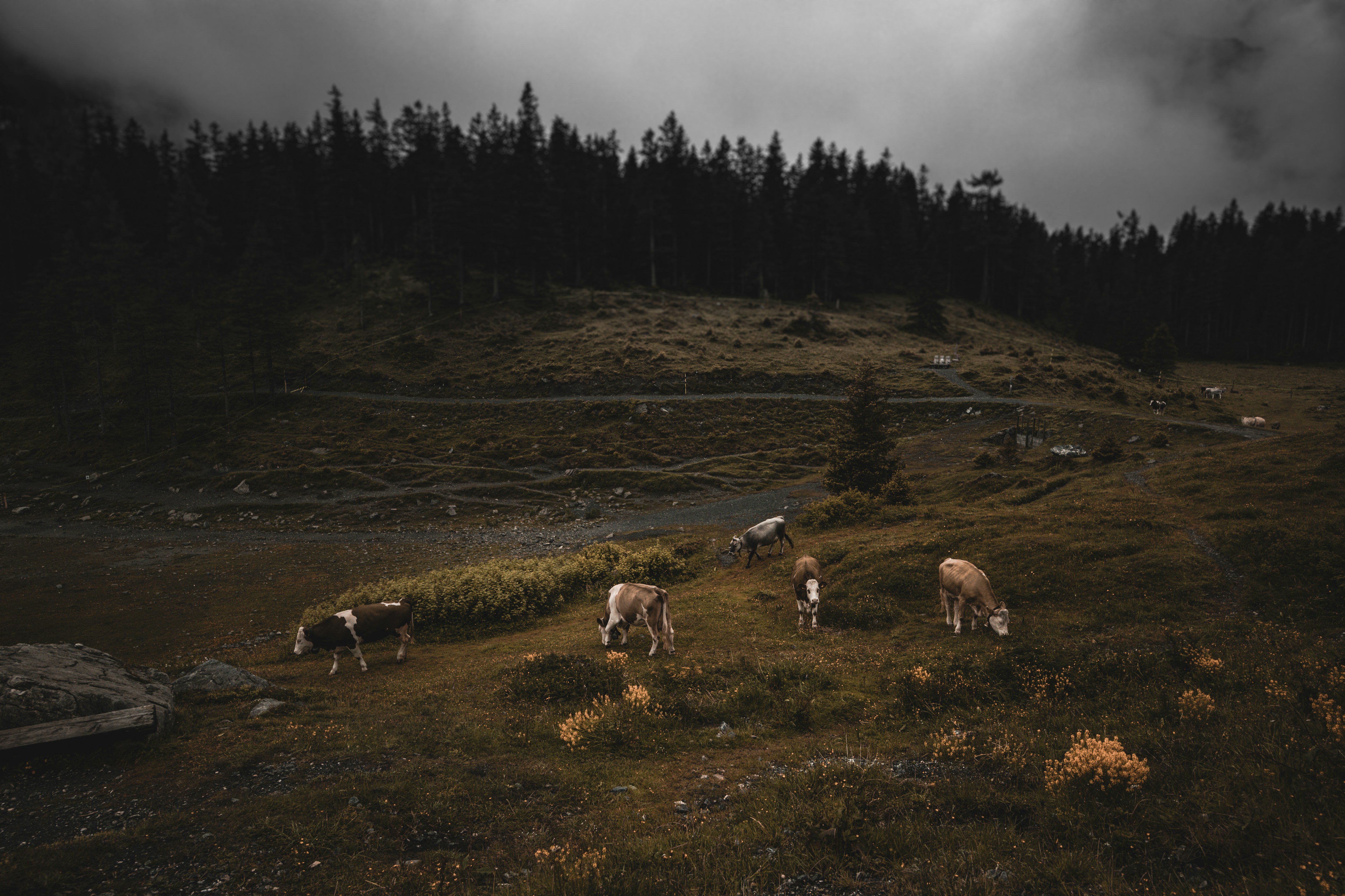 Photo by lighttouchedphotography