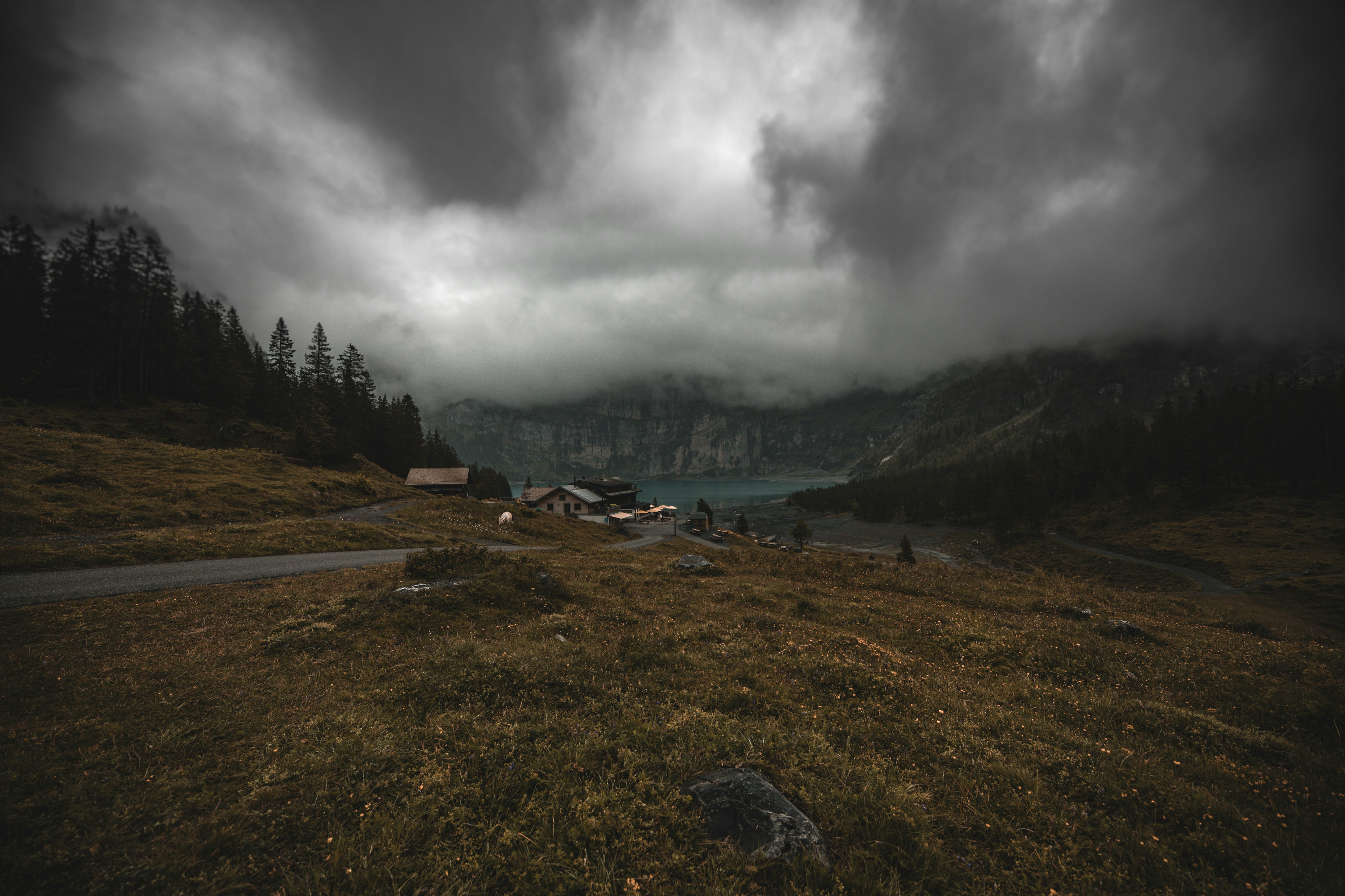 green trees near body of water under cloudy sky during daytime