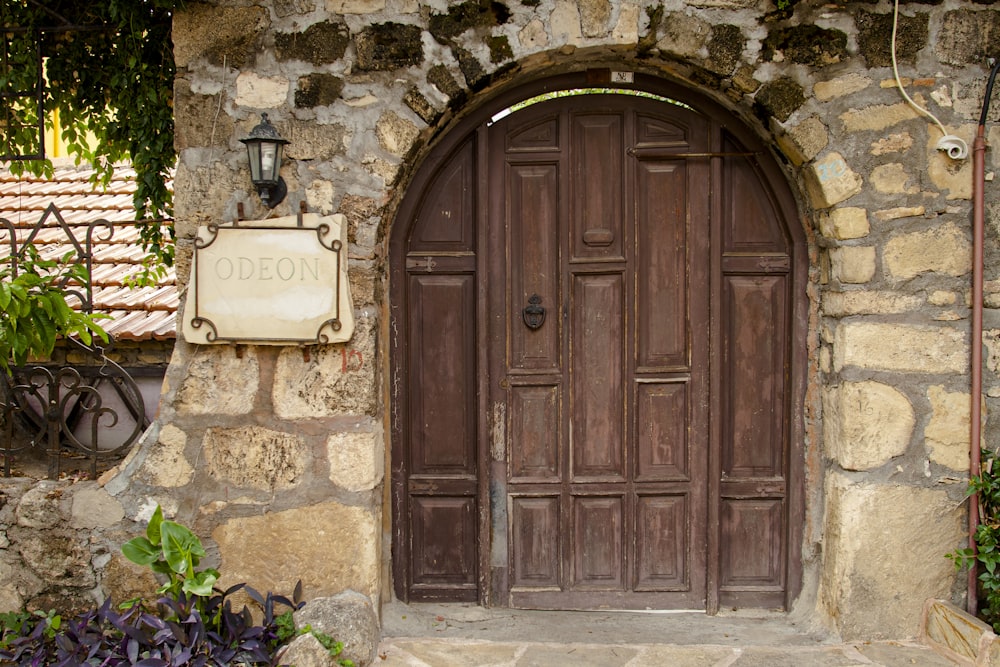 brown wooden door with green plant