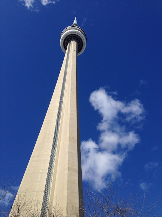 white and gray tower under blue sky in Ripley's Aquarium of Canada Canada