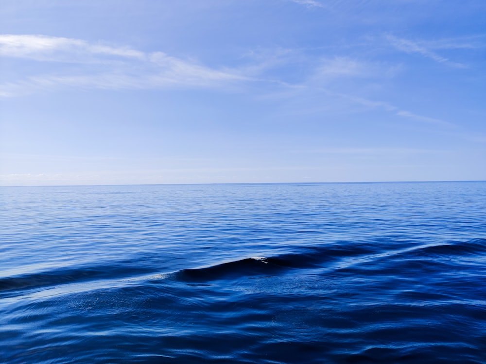 blue ocean under blue sky during daytime