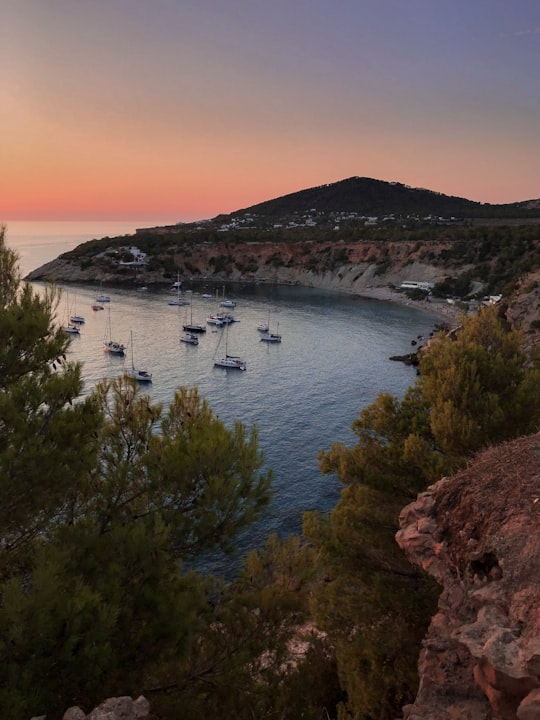 green and brown trees near body of water during daytime in Cala d’Hort Spain