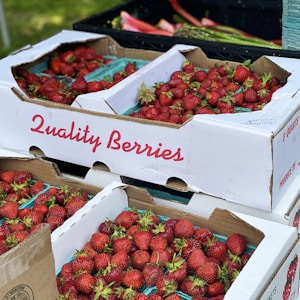 strawberries in white cardboard box