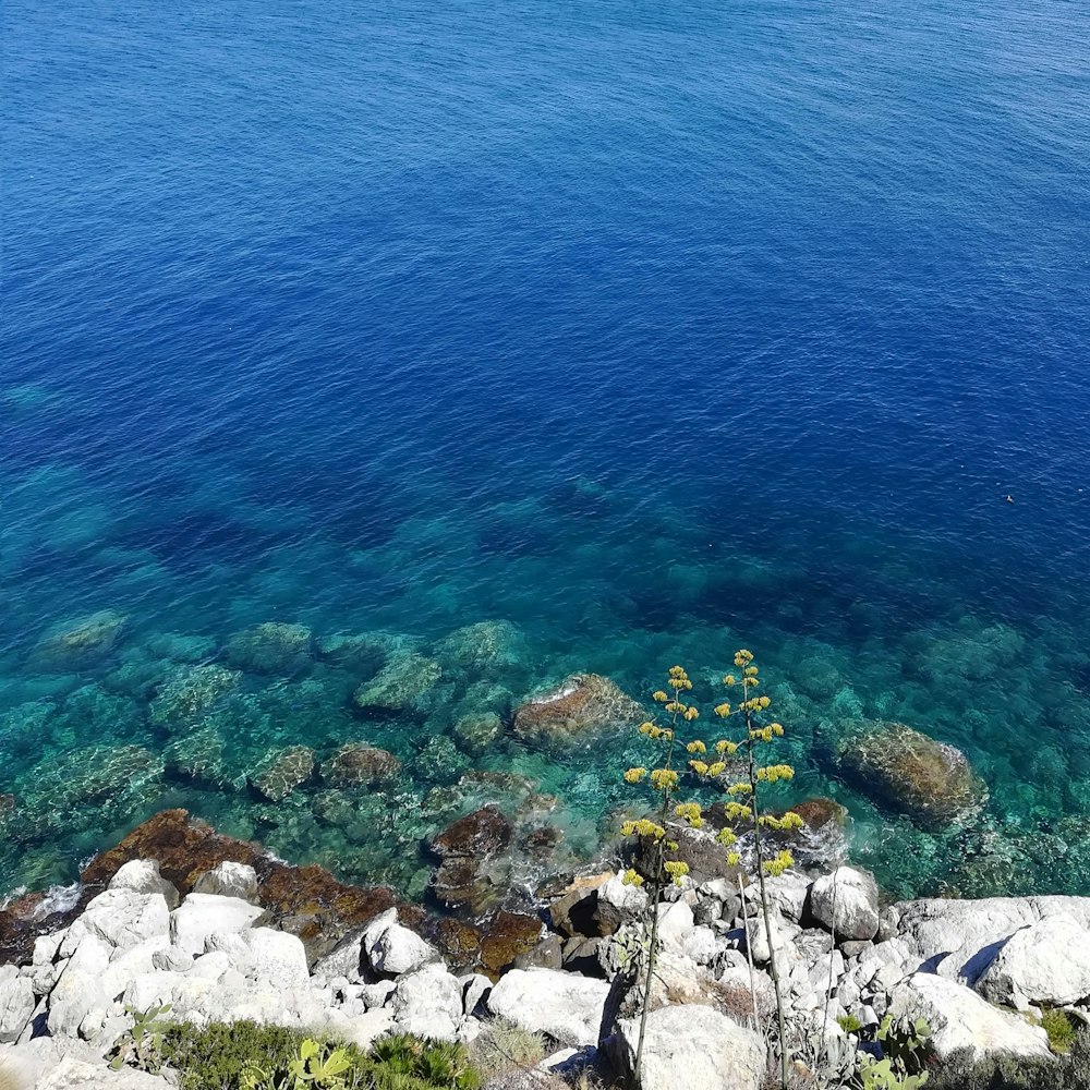 white rocks beside blue sea during daytime