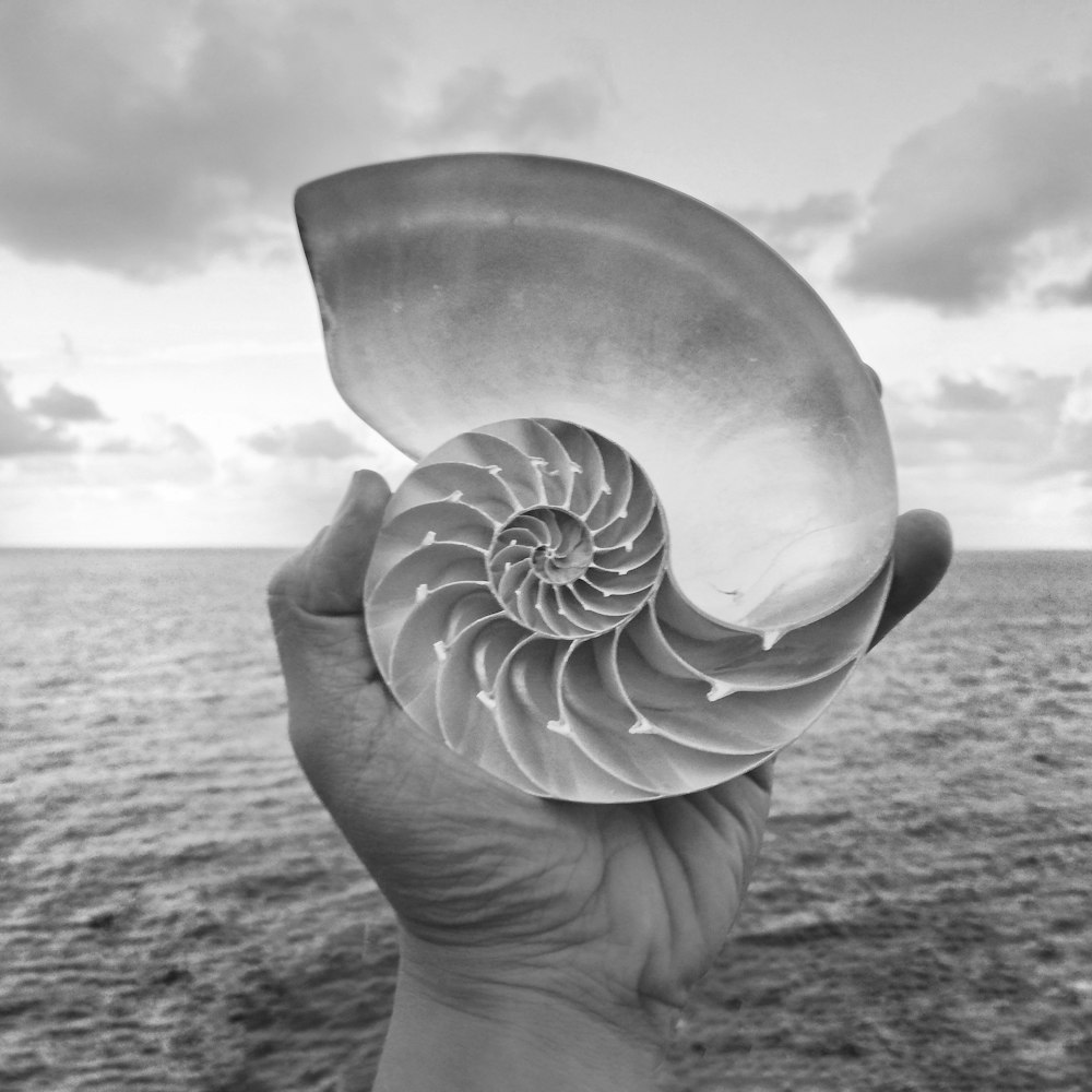 grayscale photo of person holding round ornament