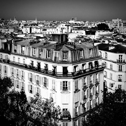 A black and white cityscape featuring classic European architecture with a prominent building in the foreground, surrounded by a dense cluster of Parisian-style rooftops extending into the horizon. The intricate details of the buildings include wrought iron railings and numerous windows, giving a sense of urban density and architectural elegance.